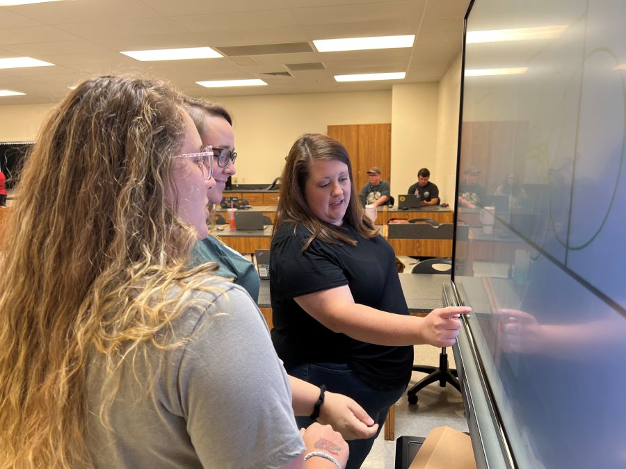 Teachers Training on Interactive Panels